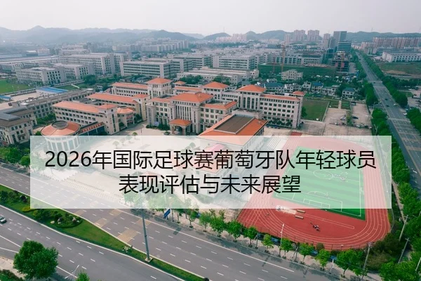 2026年国际足球赛葡萄牙队年轻球员表现评估与未来展望