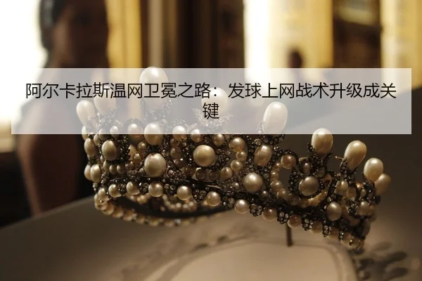 a-er-ka-la-si-wen-wang-wei-mian-zhi-lu-fa-qiu-shang-wang-zhan-shu-sheng-ji-cheng-guan-jian-2-843.jpg