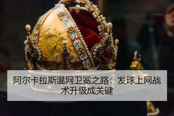 a-er-ka-la-si-wen-wang-wei-mian-zhi-lu-fa-qiu-shang-wang-zhan-shu-sheng-ji-cheng-guan-jian-3-334.jpg